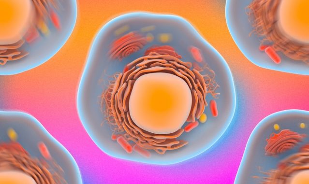 MIT-Cell-Moves-1_0