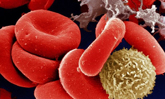blood cancer