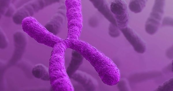 ultragenyx-pharmaceutical-companyupdate-1510874402280
