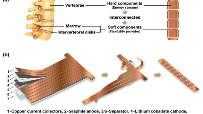 fig1a-1b