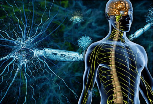 Multiple-Sclerosis