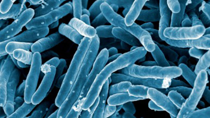 h-1-can-taking-toke-tame-terror-tuberculosis