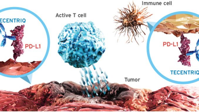TECENTRIQ-targets-PD-L1-cells