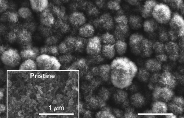 MIT-CO2_0