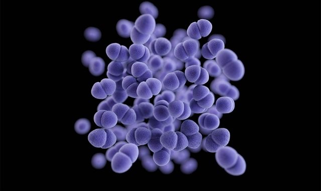 MIT-Protein-Antibiotics-01_0