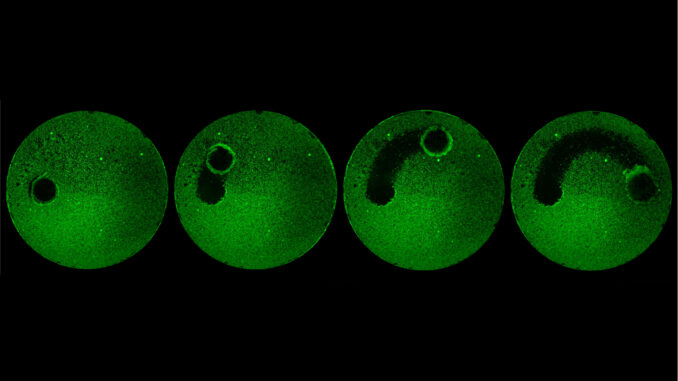 dental robots green clean